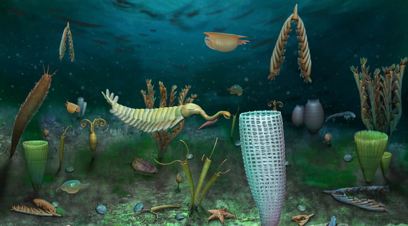 Generated 3D scene asset 6